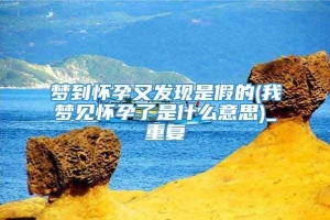 梦到怀孕又发现是假的(我梦见怀孕了是什么意思)_重复