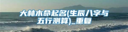 大林木命起名(生辰八字与五行测算)_重复