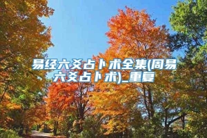 易经六爻占卜术全集(周易六爻占卜术)_重复