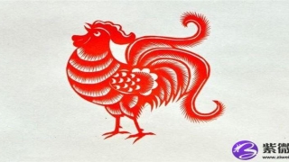 鼻梁有点歪的人的面相解析