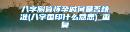 八字测算怀孕时间是否精准(八字国印什么意思)_重复
