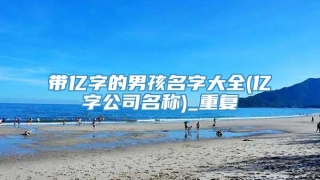 带亿字的男孩名字大全(亿字公司名称)_重复