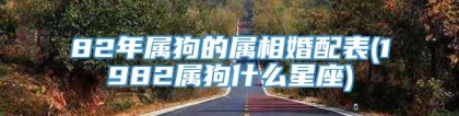 82年属狗的属相婚配表(1982属狗什么星座)