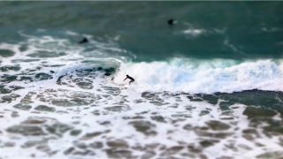 白羊座命中注定的真爱(天秤座遇到白羊座)