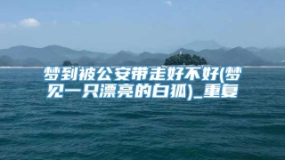 梦到被公安带走好不好(梦见一只漂亮的白狐)_重复