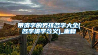 带涛字的男孩名字大全(名字涛字含义)_重复