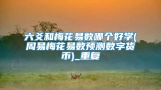 六爻和梅花易数哪个好学(周易梅花易数预测数字货币)_重复