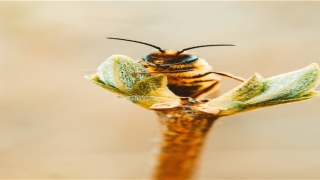 安装大门的风水讲究(大门对下楼梯的风水化解大全)