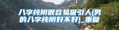 八字纯阴很容易吸引人(男的八字纯阴好不好)_重复