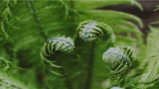 2022年1月10日出生的男孩起名(2022年怎么读)_重复