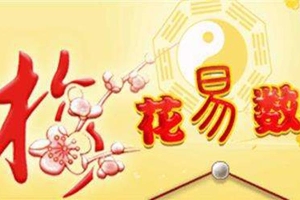 梅花易数预测数字(周易梅花易数预测数字货币)