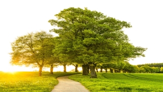 财气冲天是什么意思(2022年初八)