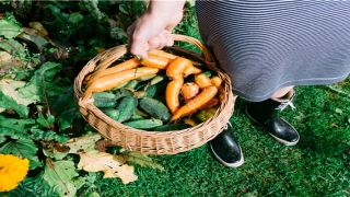 测字公司起名免费(不光名字能体现吉凶)