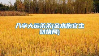 八字大运杀杀(金水伤官生财格局)
