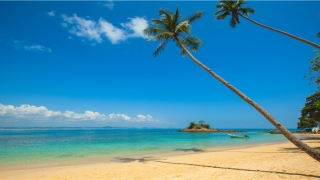 带艺术感的工作室名字(钢琴大师李云迪简介)