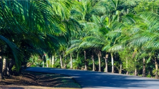 梦到耳朵被割掉了(梦到耳朵被割掉了一半)