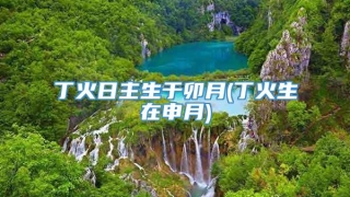 丁火日主生于卯月(丁火生在申月)