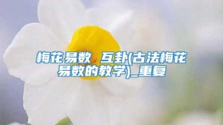 梅花易数 互卦(古法梅花易数的教学)_重复