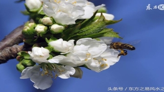 八字天喜什么意思(命理风水中的桃花)