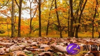 大运对八字的影响