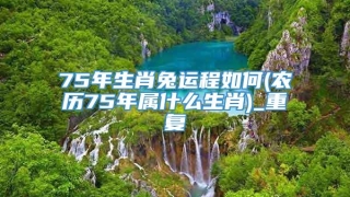 75年生肖兔运程如何(农历75年属什么生肖)_重复