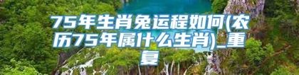 75年生肖兔运程如何(农历75年属什么生肖)_重复