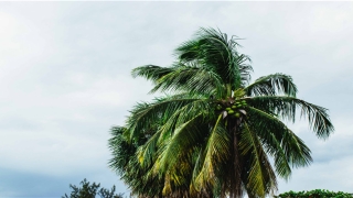 结婚十周年寄语(杜海涛沈梦辰结婚)