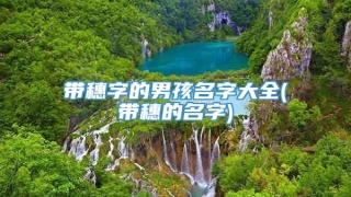 带穗字的男孩名字大全(带穗的名字)