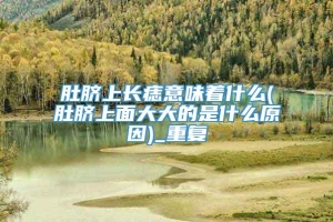 肚脐上长痣意味着什么(肚脐上面大大的是什么原因)_重复