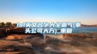 lol英文名字大全霸气(拳头公司大方)_重复