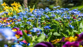 测试婚姻匹配度(闪婚真的幸福吗)