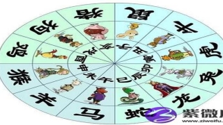 鼎卦问事业(易经的智慧鼎卦上)