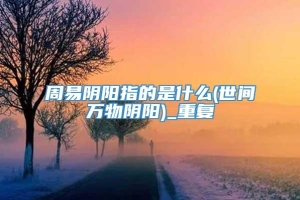 周易阴阳指的是什么(世间万物阴阳)_重复