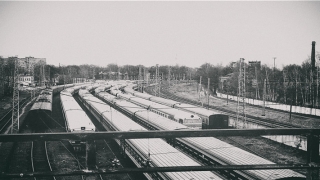 带扬字寓意吉祥的名字(带扬的词语)