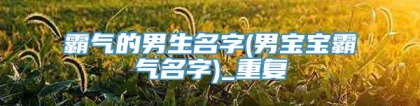 霸气的男生名字(男宝宝霸气名字)_重复