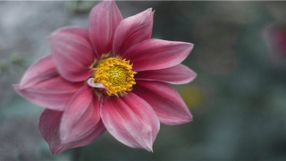 八字五行缺水适合用什么颜色的钱包(钱包风水学)