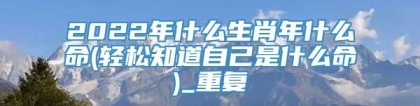 2022年什么生肖年什么命(轻松知道自己是什么命)_重复