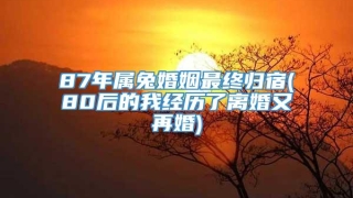 87年属兔婚姻最终归宿(80后的我经历了离婚又再婚)