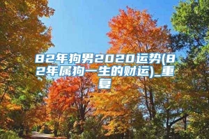 82年狗男2020运势(82年属狗一生的财运)_重复