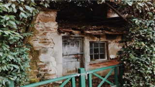 2022年1月26日出生的女孩起名(2021年1月25号生的孩子属什么)_重复