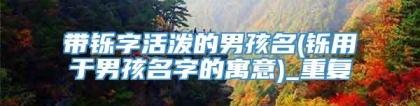 带铄字活泼的男孩名(铄用于男孩名字的寓意)_重复