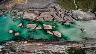 鼻子看面相算命图解(心理学与面相学观察法)