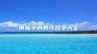 带报字的男孩名字大全