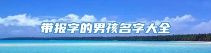 带报字的男孩名字大全