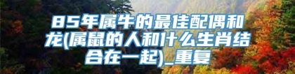 85年属牛的最佳配偶和龙(属鼠的人和什么生肖结合在一起)_重复