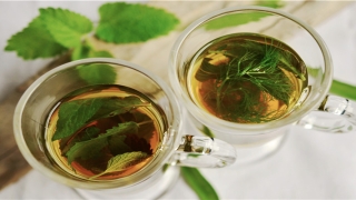 梦到蜜蜂往身上飞预示什么(梦见蜜蜂产蜜)