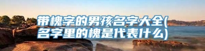 带槐字的男孩名字大全(名字里的槐是代表什么)