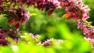 荡然无存的意思解释(荡然无存用来形容什么)