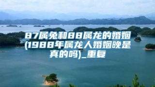 87属兔和88属龙的婚姻(1988年属龙人婚姻晚是真的吗)_重复