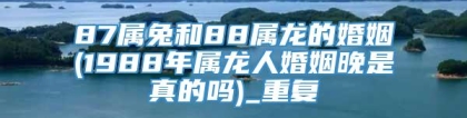 87属兔和88属龙的婚姻(1988年属龙人婚姻晚是真的吗)_重复